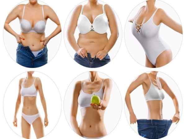 body fat mass là gì