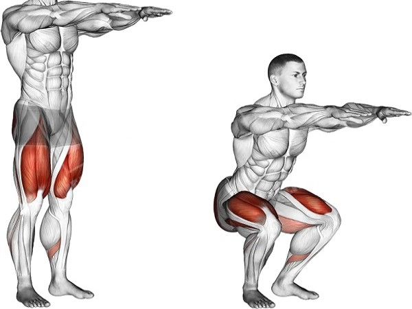 Hướng dẫn squat đúng cách hiệu quả nhất