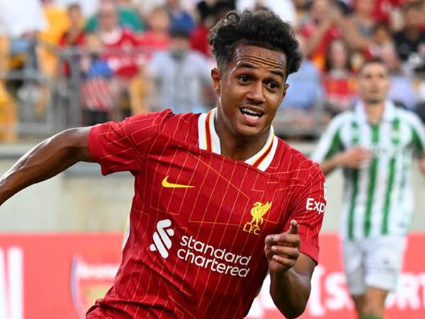 Các danh hiệu trong sự nghiệp của Fabio Carvalho