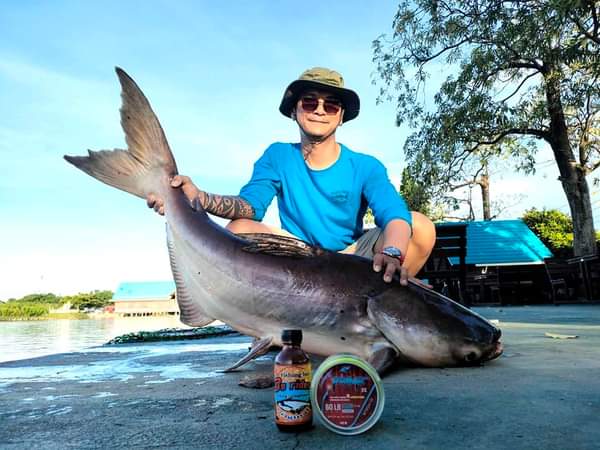 Nằm mơ thấy câu cá là điềm gì may mắn hay xui xẻo